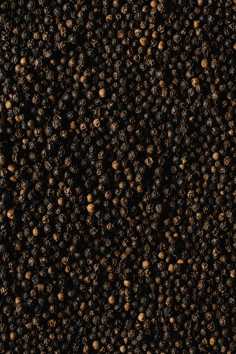pexels-eva-bronzini-5988689